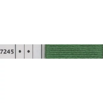 7245-2.jpg