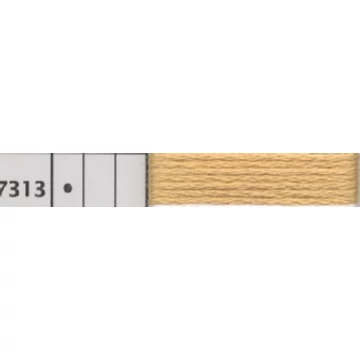 7313.jpg