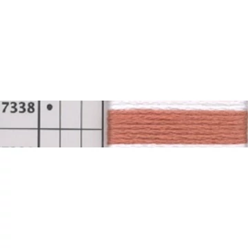 7338.jpg