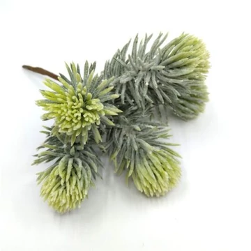 Fenyő pick - deres